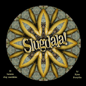 Slugdala! cover