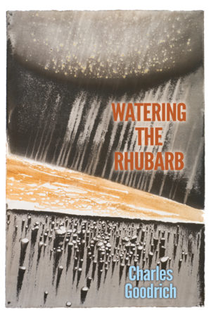 Watering the Rhubarb